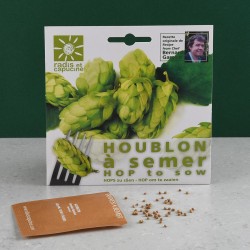 Graines de Houblon...