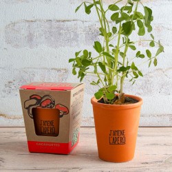 Planting kit message "I...