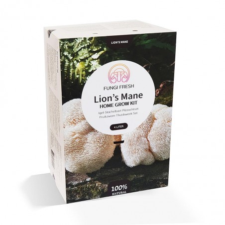 Kit Champignons Crinière de Lion Hericium Bio