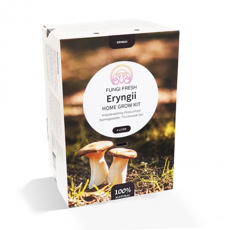 Kit Champignons Eryngii Bio