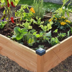 Carré Potager Douglas L82 x...